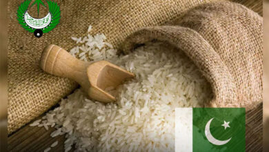 الأرز البسمتي الباكستاني