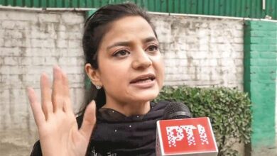 زعيم حزب الشعب الديمقراطي إيلتيا مفتي