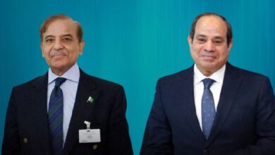 رئيس الوزراء الباكستاني شهباز شريف والرئيس المصري عبد الفتاح السيسي