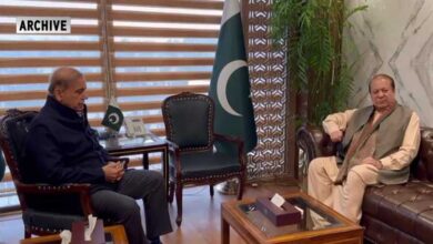 رئيس الوزراء شهباز شريف وزعيم حزب الرابطة الإسلامية الباكستانية نواز شريف