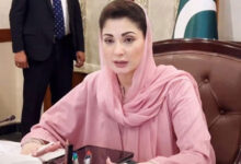 رئيسة وزراء البنجاب، مريم نواز