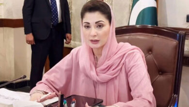 رئيسة وزراء البنجاب، مريم نواز