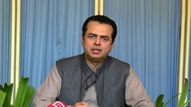 وزير الدولة للشؤون الداخلية الباكستاني طلال شودري