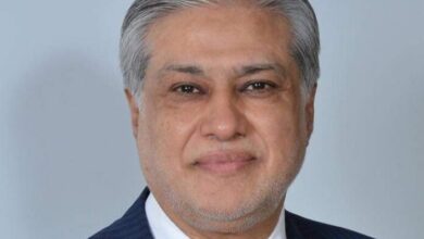 نائب رئيس الوزراء الباكستاني إسحاق دار