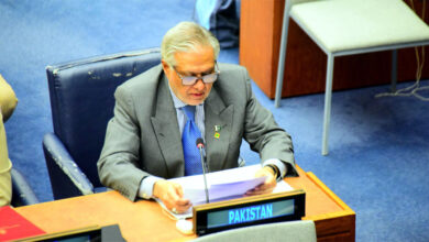 باكستان تدعو لشراكة دولية لنشر السلام والتسامح