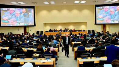 إسحاق دار يدعو لدعم قدرة الدول على التكيف مع تغير المناخ