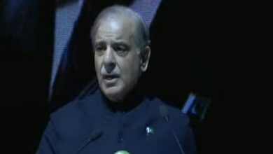 شهباز شريف: المغتربون ركيزة الاقتصاد وانتصارات الجيش رفعت مكانة باكستان