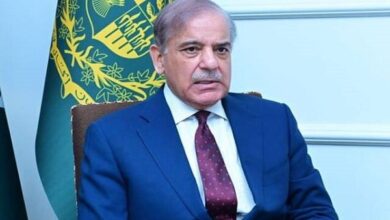 شهباز شريف: لا سلام دائم دون معالجة جذور الصراعات