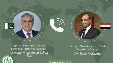 وزيرا خارجية باكستان ومصر يبحثان المستجدات ويشيدان باتفاقية الدفاع السعودية الباكستانية