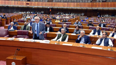 إسحاق دار يؤكد تمسك باكستان بسياسة القائد الأعظم تجاه فلسطين