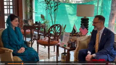 مريم نواز تدعو المستثمرين الأميركيين للاستفادة من فرص الاستثمار في البنجاب