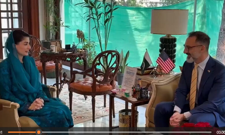 مريم نواز تدعو المستثمرين الأميركيين للاستفادة من فرص الاستثمار في البنجاب