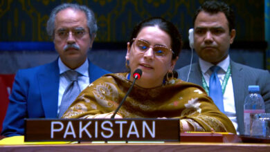 باكستان: السلام في جنوب آسيا مرهون بإنهاء احتلال كشمير