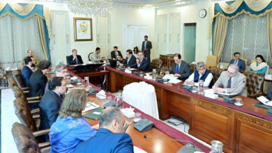 رئيس الوزراء: الحكومة تعطي الأولوية لدعم القطاعين الزراعي والصناعي