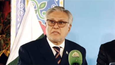 إسحاق دار يؤكد على ضرورة الحل السلمي لنزاع كشمير