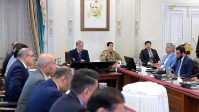 شهباز شريف يأمر بضمان الشفافية في بناء مجمع جناح الطبي