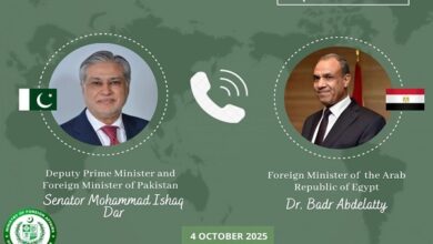 وزير الخارجية الباكستاني يجري اتصالًا هاتفيًا بنظيره المصري لبحث الوضع في غزة