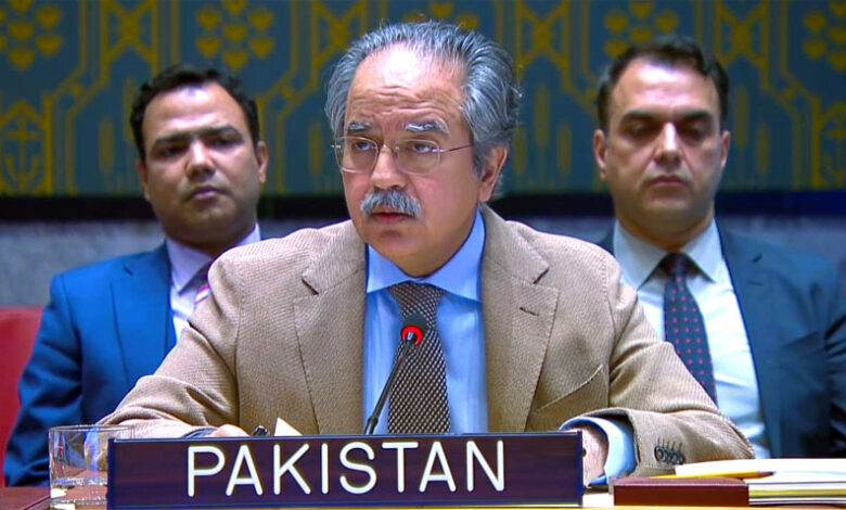باكستان تؤكد دعمها الثابت للشعب الفلسطيني في الأمم المتحدة