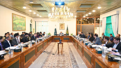 إسحاق دار يشدد على مواءمة الدبلوماسية مع الأهداف الاستراتيجية الوطنية