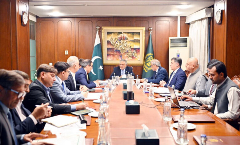 إسحاق دار يؤكد أهمية خصخصة شركات توزيع الكهرباء بكفاءة