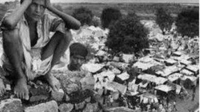 أصداء ما لم يُسمع: خريف عام ١٩٤٧ المُغرق بالدماء