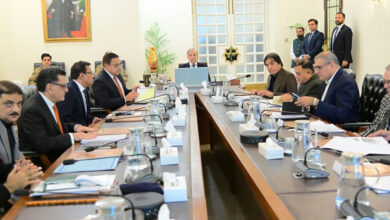 شهباز شريف يستعين بخبراء دوليين لتعزيز مشاريع السكك الحديدية