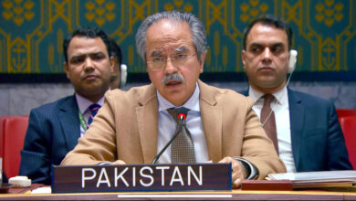 باكستان تسعى إلى استمرار الدعم العالمي لاستقرار سوريا