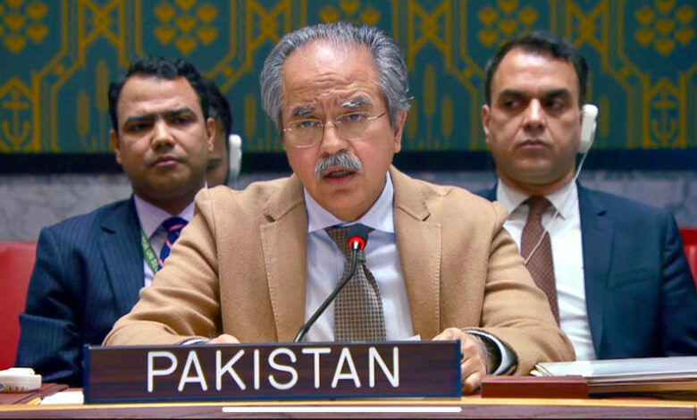 باكستان تسعى إلى استمرار الدعم العالمي لاستقرار سوريا
