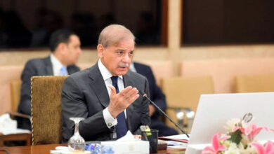 رئيس الوزراء يدعو إلى تعزيز قيم التسامح والصبر