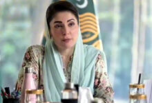 رئيس وزراء البنجاب يأمر بتشكيل فرق يقظة للحكم الرشيد