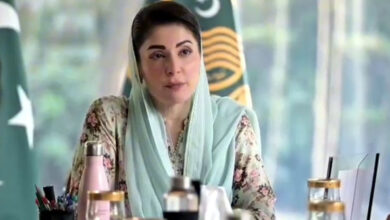 رئيس وزراء البنجاب يأمر بتشكيل فرق يقظة للحكم الرشيد