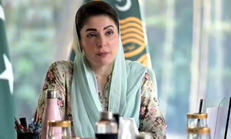 رئيس وزراء البنجاب يأمر بتشكيل فرق يقظة للحكم الرشيد