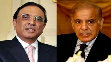 الرئيس ورئيس الوزراء يتعهدان بحماية حقوق الإنسان وتعزيزها