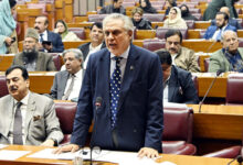 دار: الحكومة منفتحة على كل مقترح يعزز مشروع قانون الأقليات