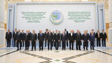 شهباز شريف يؤكد على ضرورة حل النزاعات سلمياً بالحوار والدبلوماسية