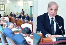 شهباز شريف يسرّع خصخصة الكهرباء وإصلاحات الطاقة في باكستان