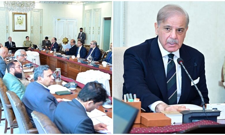 شهباز شريف يسرّع خصخصة الكهرباء وإصلاحات الطاقة في باكستان