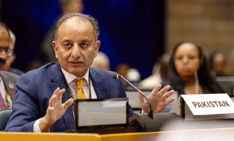 باكستان تدعو إلى تمويل مناخي عادل للدول المعرضة للخطر