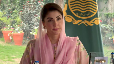 رئيس وزراء البنجاب يرحب بزيارة رئيس دولة الإمارات العربية المتحدة إلى باكستان