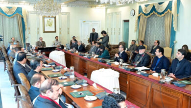 باكستان: نمو اقتصادي وخصخصة الطيران تعزز الاستقرار