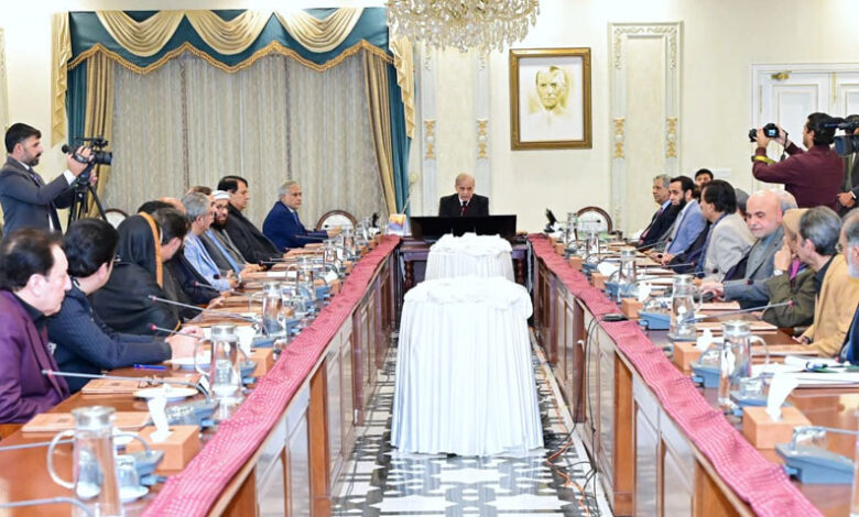 شهباز شريف يشكل لجنة لمتابعة مشروعات التنمية في خيبر بختونخوا