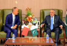 نائب رئيس الوزراء ورئيس مجلس إدارة CIDCA يتعهدان بتعميق التعاون