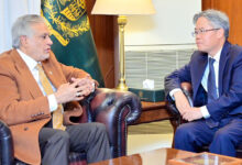 نائب رئيس الوزراء الباكستاني يؤكد تعزيز التعاون الثنائي مع الصين