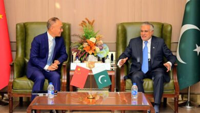 نائب رئيس الوزراء ورئيس مجلس إدارة CIDCA يتعهدان بتعميق التعاون