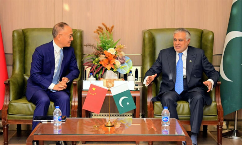 نائب رئيس الوزراء ورئيس مجلس إدارة CIDCA يتعهدان بتعميق التعاون