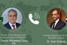 نائب رئيس الوزراء الباكستاني ووزير الخارجية المصري يناقشان التطورات الإقليمية الأخيرة