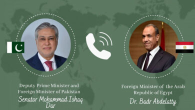 نائب رئيس الوزراء الباكستاني ووزير الخارجية المصري يناقشان التطورات الإقليمية الأخيرة