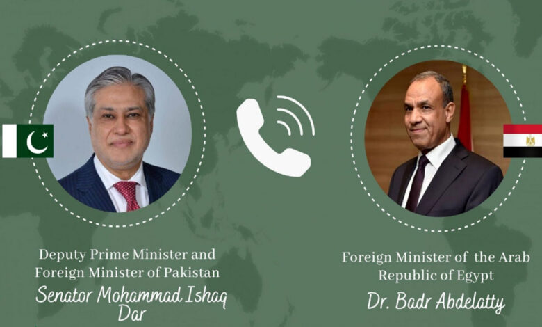 نائب رئيس الوزراء الباكستاني ووزير الخارجية المصري يناقشان التطورات الإقليمية الأخيرة