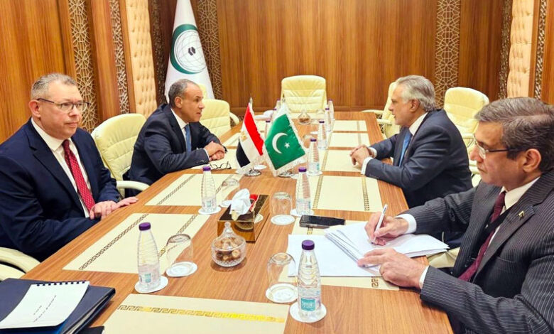 باكستان ومصر تؤكدان تعزيز التعاون ودعم القضية الفلسطينية خلال اجتماع جدة