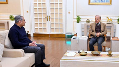 شهباز شريف يبحث مع رئيس مجلس الكريكيت تطورات أزمة كأس العالم T20